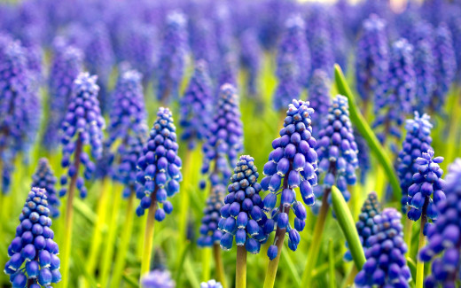 1513447 (a): :1920x1200